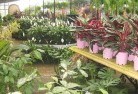 Tummavilleplant-nursery-7.jpg; ?>